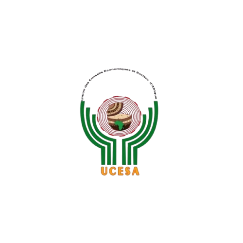 Research & Insights Group (14)